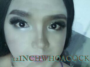 12INCHWHOACOCK
