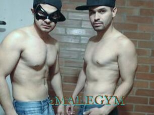 2MALEGYM