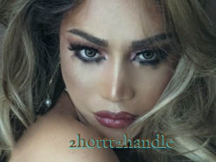 2hottt2handle