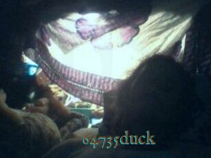 64735duck