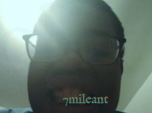 7mileant