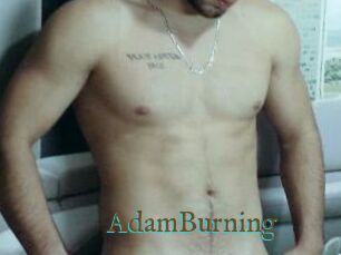 AdamBurning