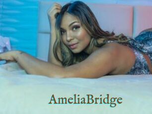 AmeliaBridge