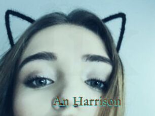 An_Harrison