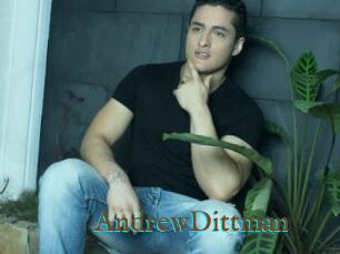 AndrewDittman