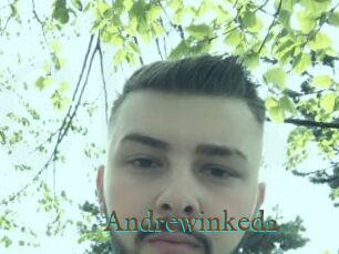 Andrewinked2