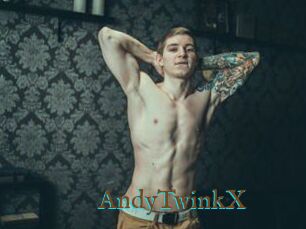 AndyTwinkX