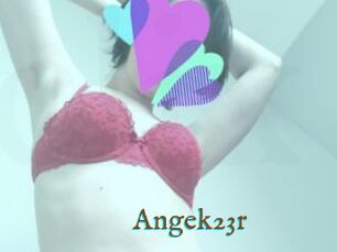 Angek23r