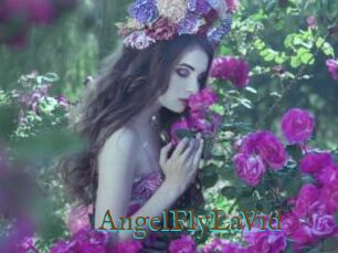 AngelFlyLaVid