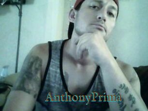 AnthonyPrima