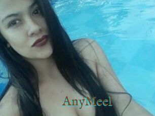 AnyMeel