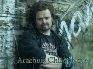 Arachnis_Chiropterus