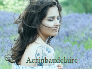 Aerinbaudelaire