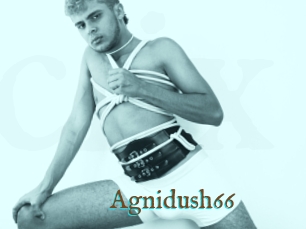 Agnidush66