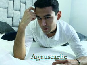 Agnuscaelie