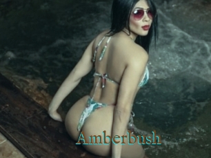 Amberbush