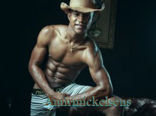 Amirmickelsens