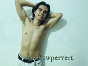 Andruwpervert