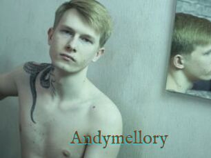 Andymellory