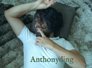 Anthonyding