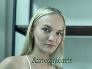 Antoniacatts