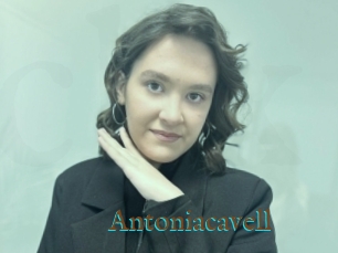 Antoniacavell