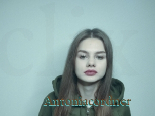 Antoniacordner