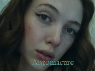 Antoniacure