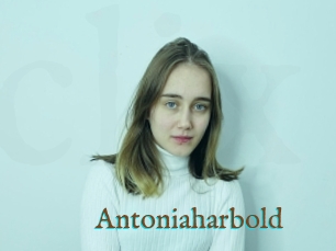 Antoniaharbold