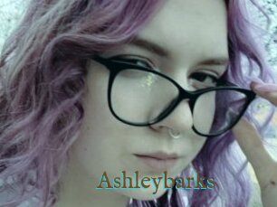Ashleybarks