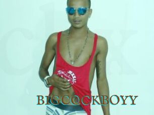 BIGCOCKBOYY
