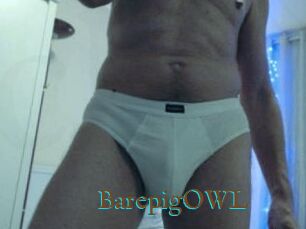 BarepigOWL