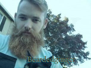 Beardedginger