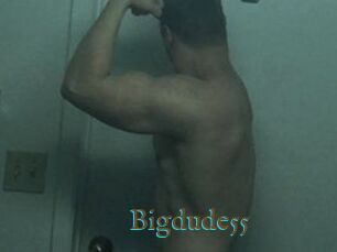 Bigdude55