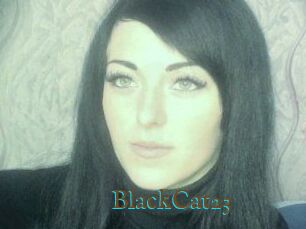 BlackCat23