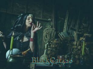 BlackCat420