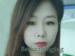 Bericezhangjing