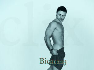 Bica1223