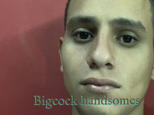 Bigcock_handsomes