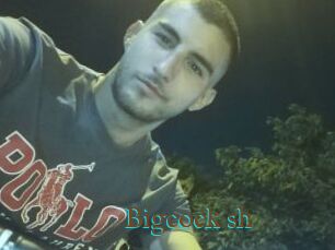 Bigcock_sh