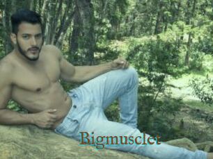 Bigmusclet