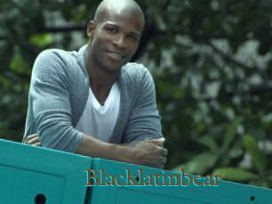 Blacklatinbear