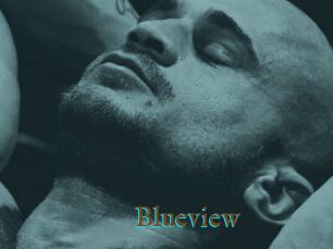 Blueview