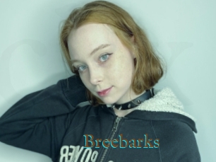 Breebarks