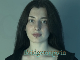 Bridgetangwin
