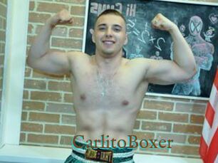CarlitoBoxer