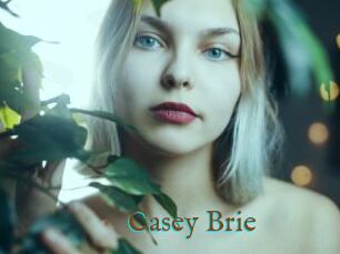 Casey_Brie