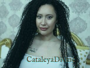 CataleyaDivine