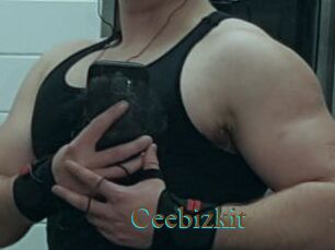Ceebizkit