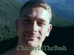 CharleyInTheBush